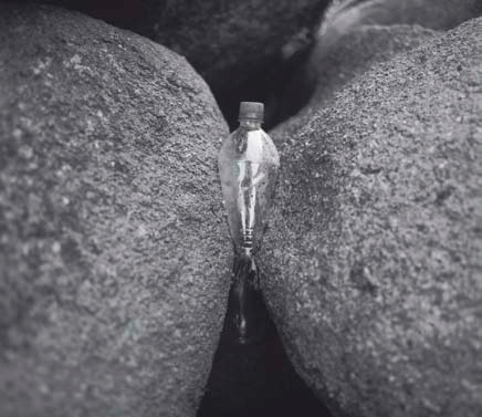 Jean-Luc Moulene, Régulier, Barneville, 2008