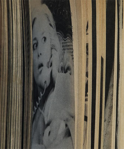 Erica Baum, Alarmed, 2012