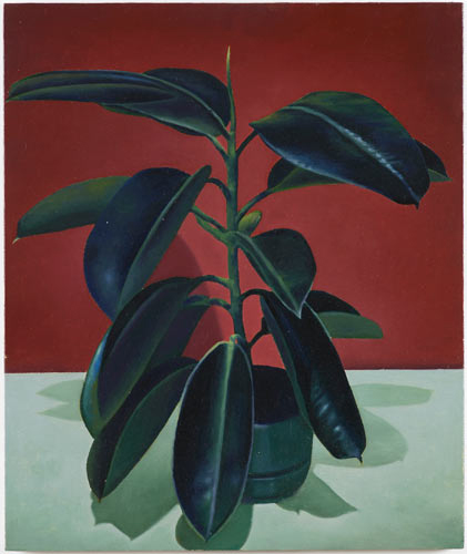 Christopher Hanlon, Rubber Plant, 2014