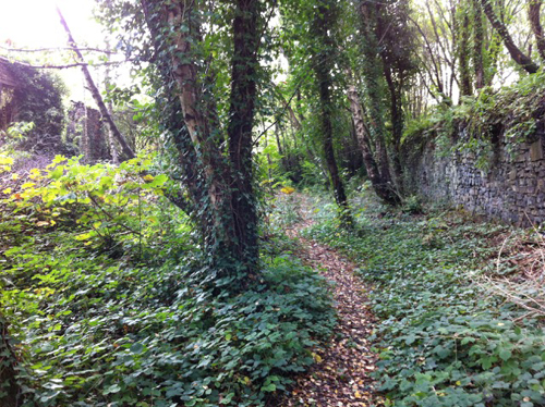 Swansea Canal at Hafod