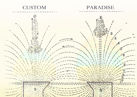 Custom Paradise Open Call 2016