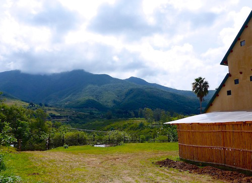 Arquetopia Foundation