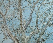 "Open", detail, oil on canvas