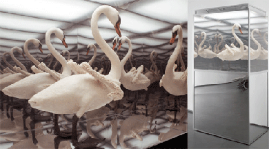 1.Naked Swan, 2006. 
