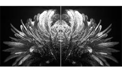 Speaking Subject III, 2001