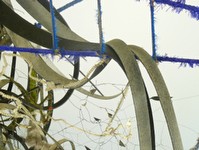 "It's Like Falling Into Water"  detail