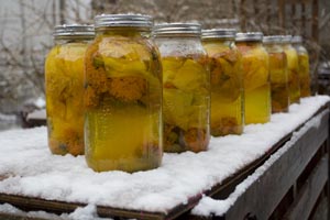 Preserving Summer, archival inkjet print, 2010