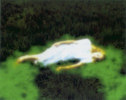 Nyima 195, 2004, photograph on canvas