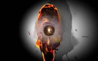 Straw Dog, Animation, 2010