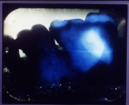 Mueca de Berenice -1995 