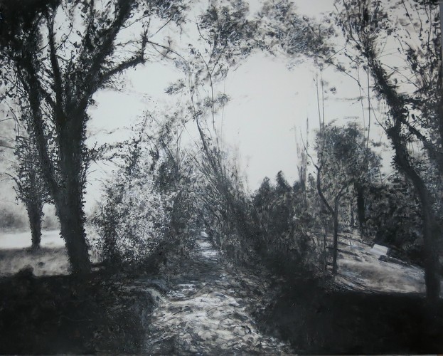 After Atget  (20) Parc Dellesert 3.November2013<br class=