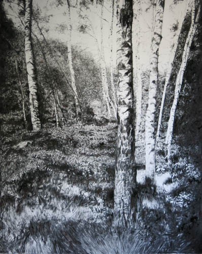 After Atget,(40) <br class=