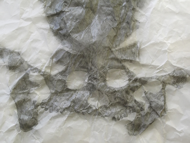 Skullmap, Human (detail)<br class=