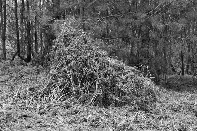 From the series 'Monuments to the Past', 2011<br class=