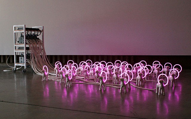FLOCK, CALIFORNIA BIENNIAL, ORANGE COUNTY MUSEUM OF ART, NEWPORT BEACH, CA, Installation View, 2010<br class=