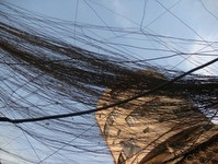 for a long time your only entertainment