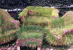 Revenge Of The Lawn, 2003