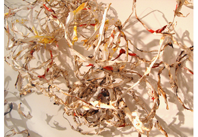 1.Intricacies - drawing in space