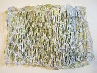 Transmogrify II �Ula Einstein