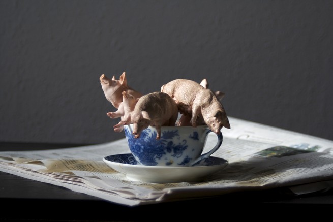 when the Sun shines,<br/>2013      dimensions variable<br/>mixed media<br/>