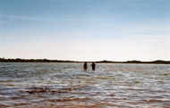 Couple Water, 2004, C-Print 20" x 24"