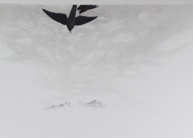 Two Birds Flying, pencil, 18x24, 2009