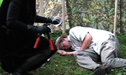 Reintroduction of the Beaver (still)