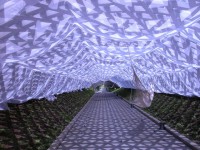 SLEEPING 2004/ Japan