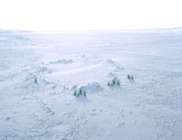 Tannen Krater, 2004 * 47 x 59 in.