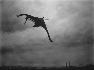 The Ghost of Steve Irwin, 2006 90 x 110 cm