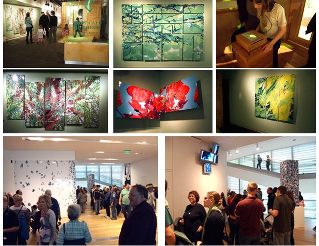 Recent exhibitions at the Notebaert Nature Museum in Chicago and The Grand Rapids Art Museum, MI<br/>