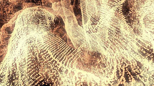 Pae White, Dying Oak, variation 4:3 <br/>animation film, 2.5 ft, loop, Ed 3 + 2 AP <br/>Image � Pae White, courtesy Xavier Hufkens, Brussels<br/>