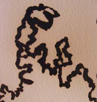 detail of "Study of East" Drawing by fire