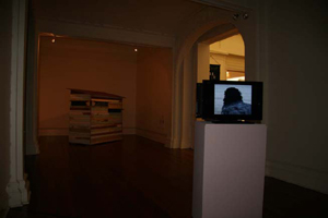 Installation view Gallery 1