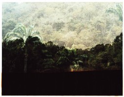 Untitled, from Constructed Landscapes, 2009