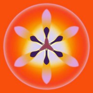 orange tulip, digital print, 2002